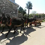 Ranch Radin 3* Brtonigla