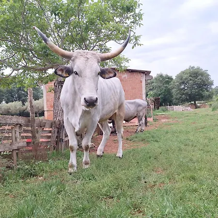 Ranch Radin 3*