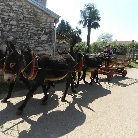 Ranch Radin 3* Brtonigla