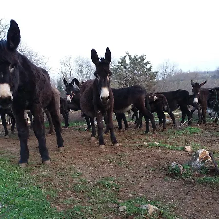 Ranch Radin Nocleg ze śniadaniem