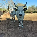Ranch Radin Отель типа 