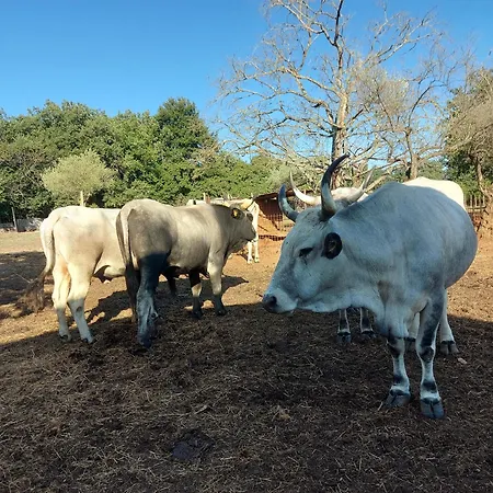 Ranch Radin 3*