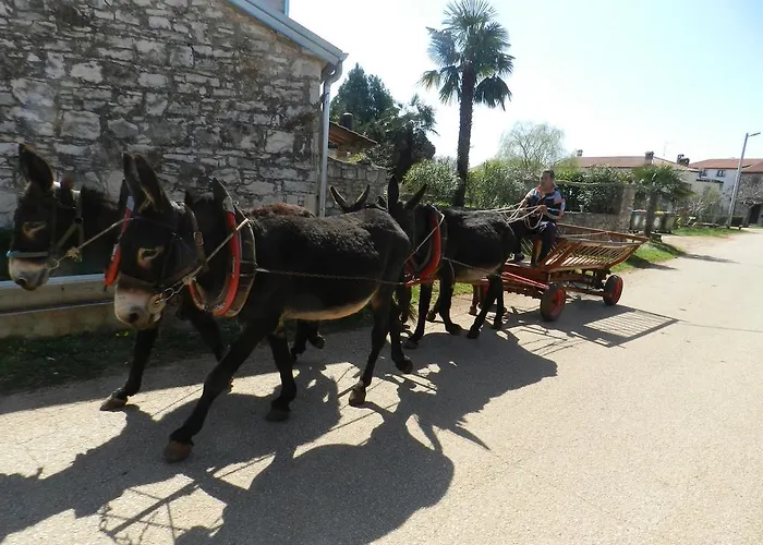 Ranch Radin 3* Brtonigla